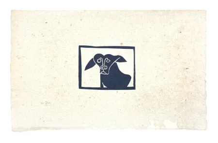 Sin Técnico Müller - SKILIA II