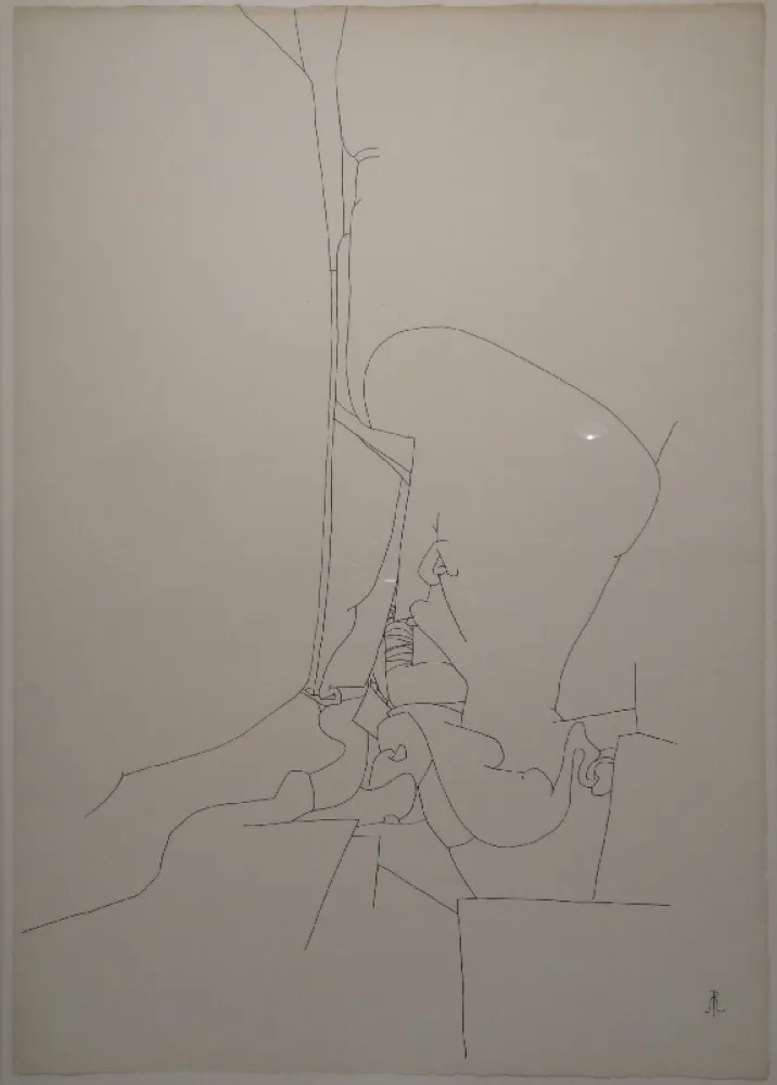 Sin Técnico Müller - Untitled