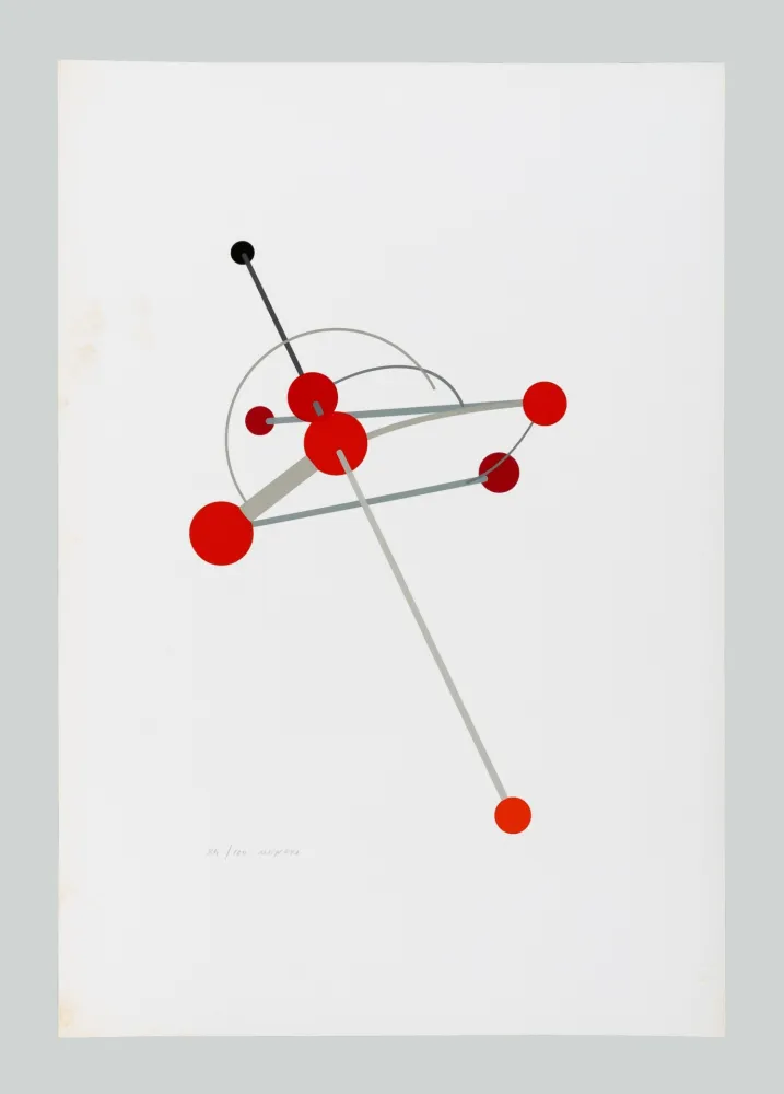 Serigrafía Munari - Macchina aerea