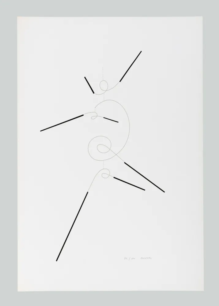 Serigrafía Munari - Macchina inutile