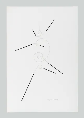 Serigrafía Munari - Macchina inutile