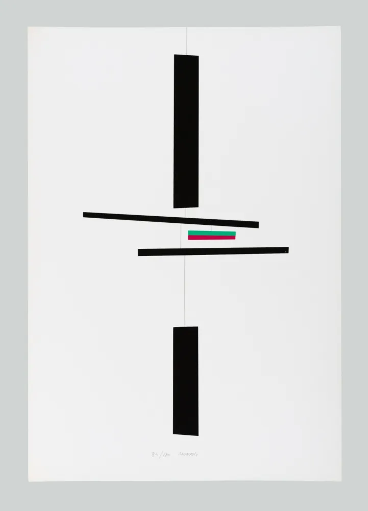 Serigrafía Munari - Macchina inutile