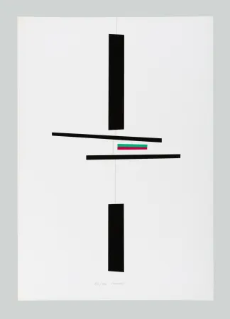 Serigrafía Munari - Macchina inutile