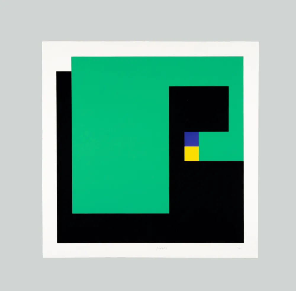 Serigrafía Munari - Positivo negativo