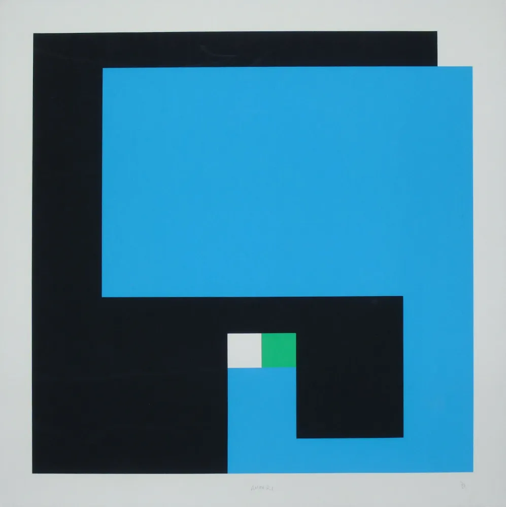 Serigrafía Munari - Positivo Negativo