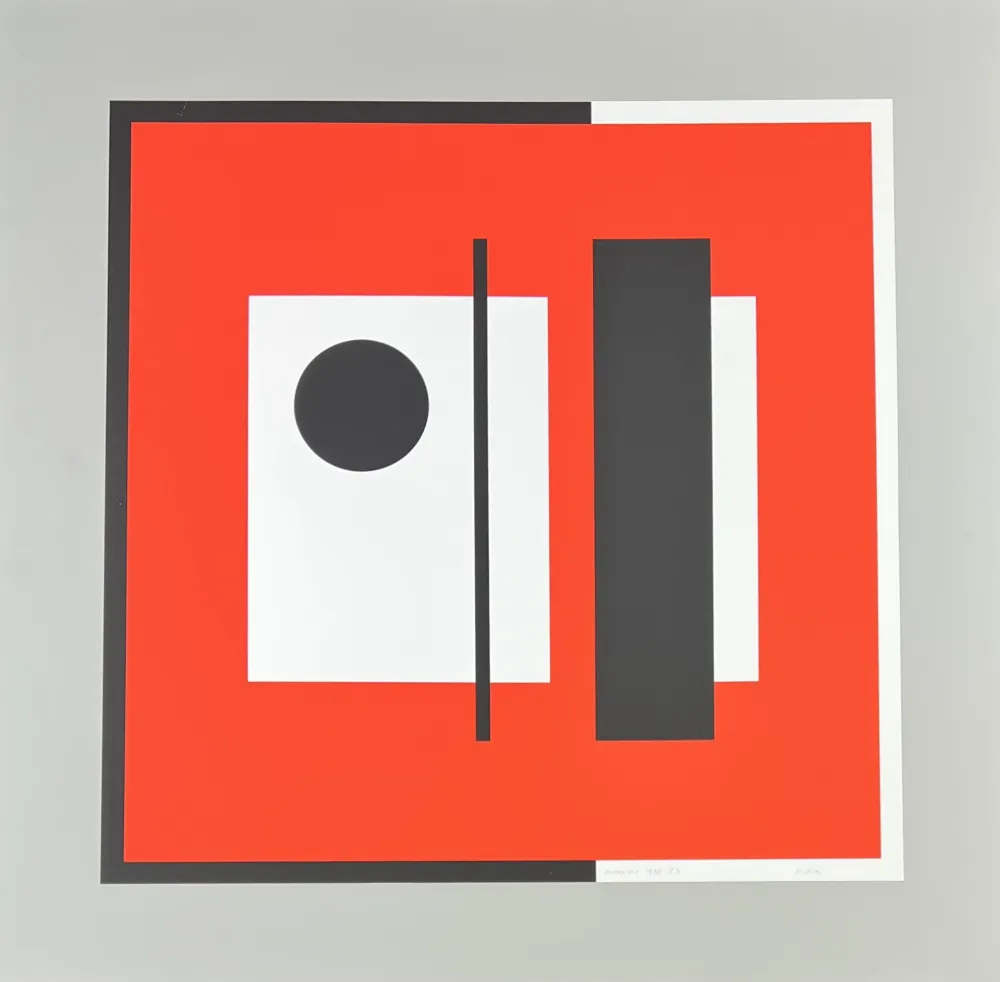 Serigrafía Munari - Senza titolo