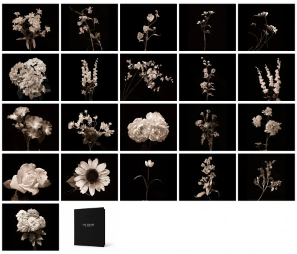 Fotografía Muniz - Flora Industrialis B/N