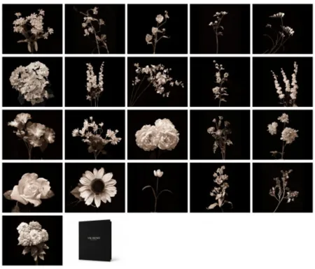 Fotografía Muniz - Flora Industrialis B/N