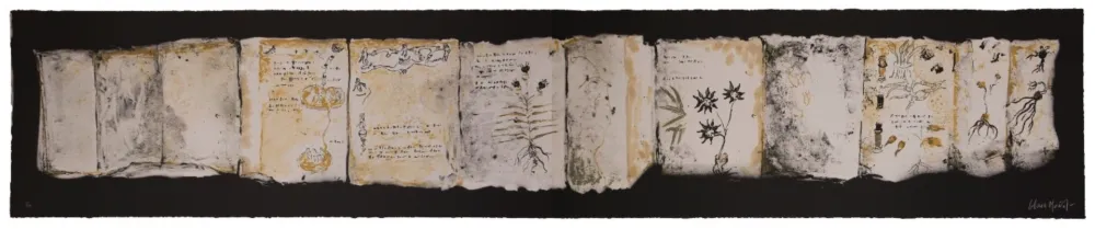 Múltiple Muñoz - Manuscrit III