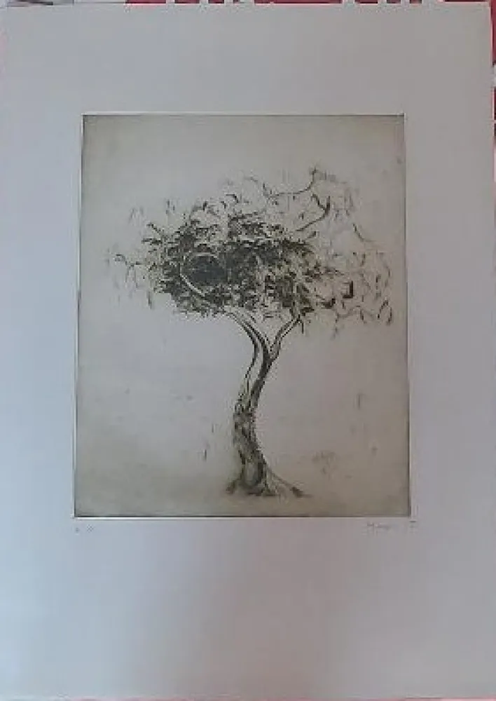 Grabado Music - Baum (1975)