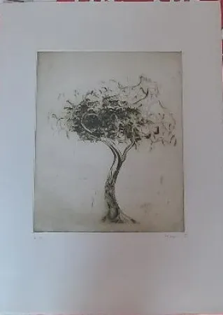 Grabado Music - Baum (1975)
