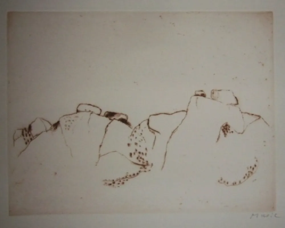 Aguafuerte Y Aguatinta Music - Jardins