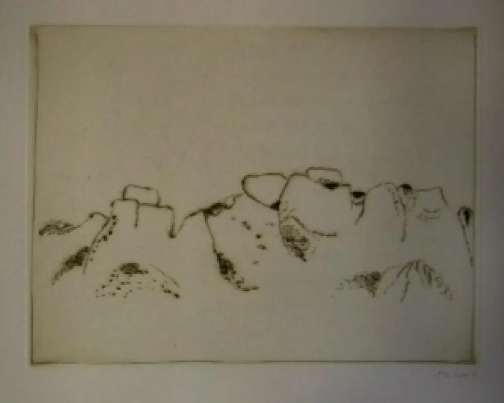 Libro Ilustrado Music - Jardins déserts peut-être