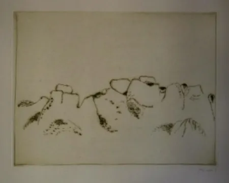 Libro Ilustrado Music - Jardins déserts peut-être