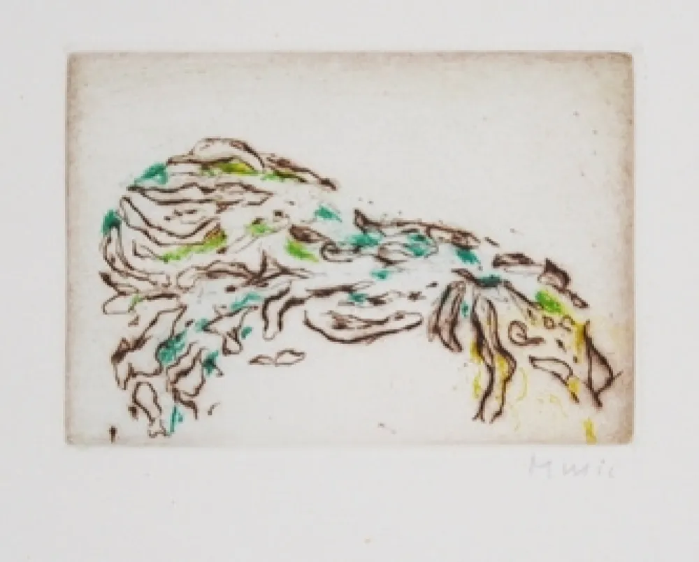 Aguafuerte Y Aguatinta Music - La terre ecrit la terre