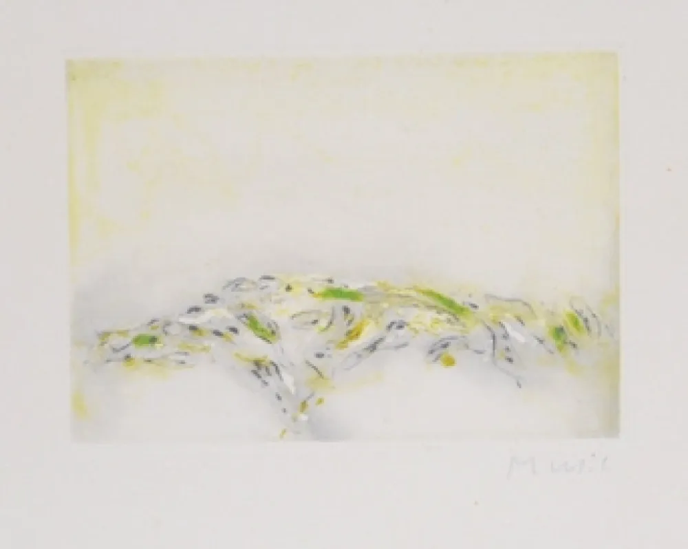 Aguafuerte Y Aguatinta Music - La terre ecrit la terre