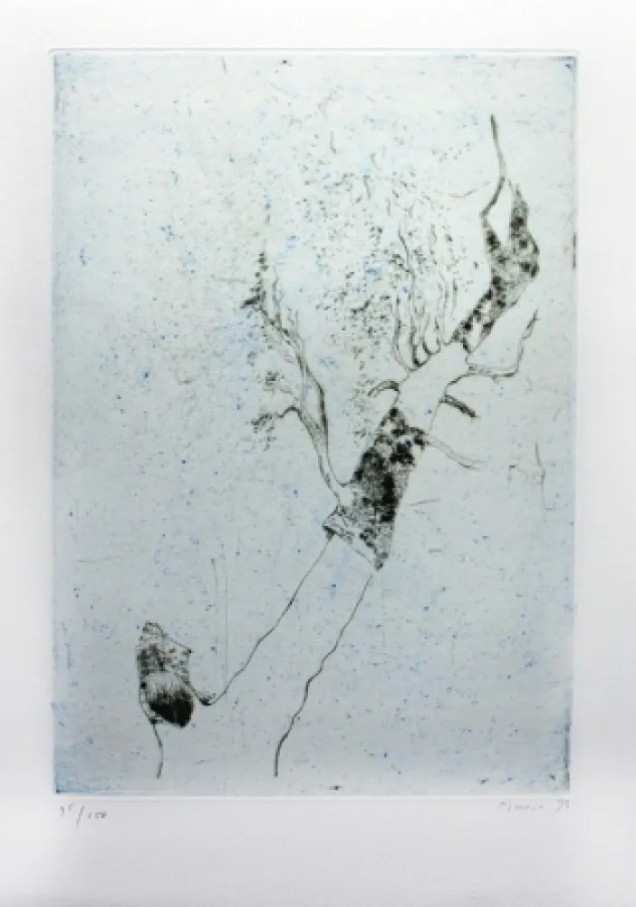 Grabado Music - Motif végatal