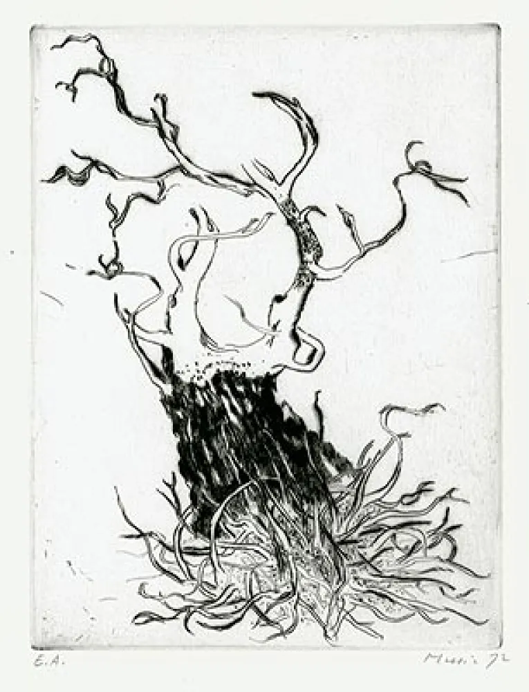 Grabado Music - Motif Végétal