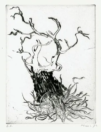 Grabado Music - Motif Végétal