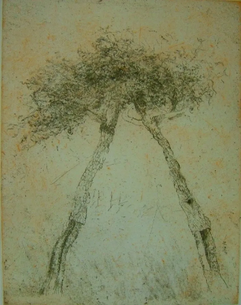 Aguatinta Music - Motif vegetal