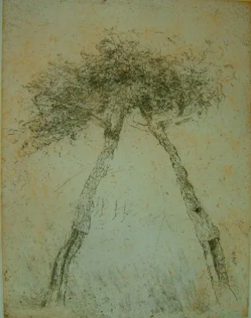 Aguatinta Music - Motif vegetal