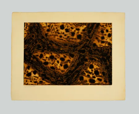 Grabado Music - Terre dalmate