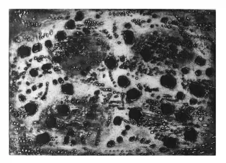 Grabado Music - Terre d'Istrie