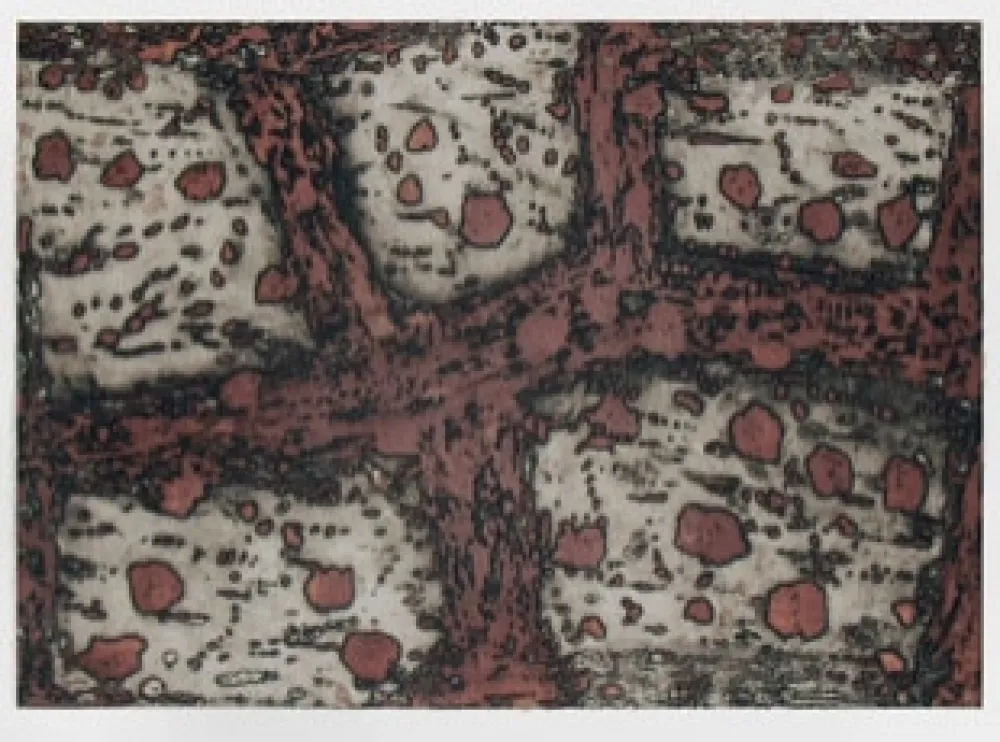 Grabado Music - Terre d'Istrie