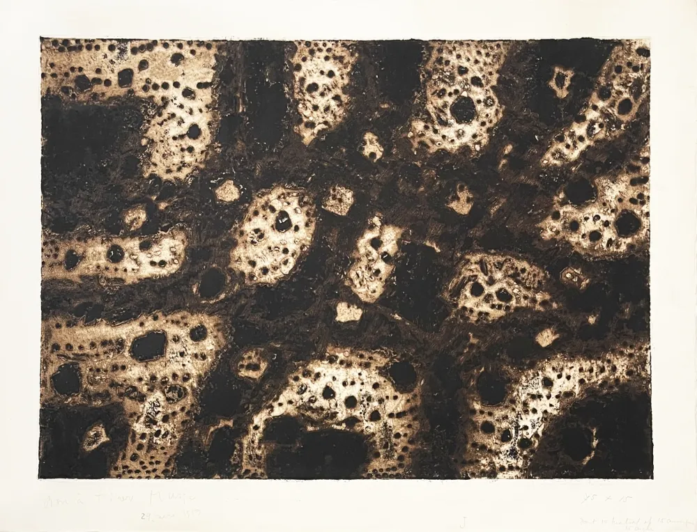 Grabado Music - Terres dalmates