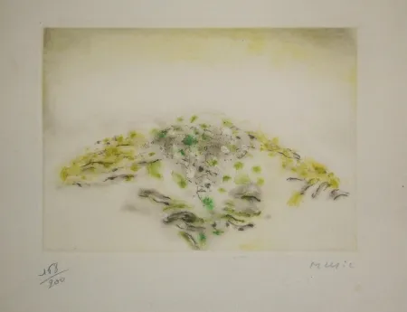 Aguafuerte Y Aguatinta Music - Voeux Lacourière 1966