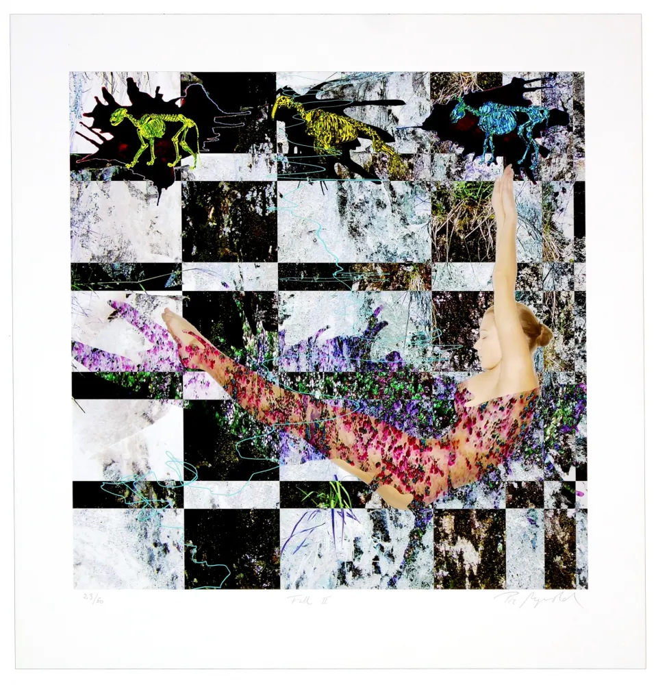 Estampa Numérica Myrvold - Fall II