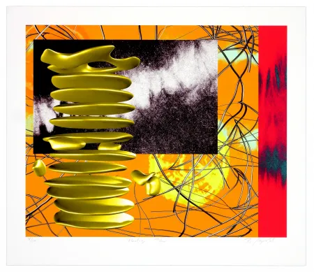 Litografía Myrvold - Snow crash