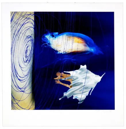 Estampa Numérica Myrvold - Water dream