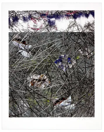 Litografía Myrvold - Winter Clouds II