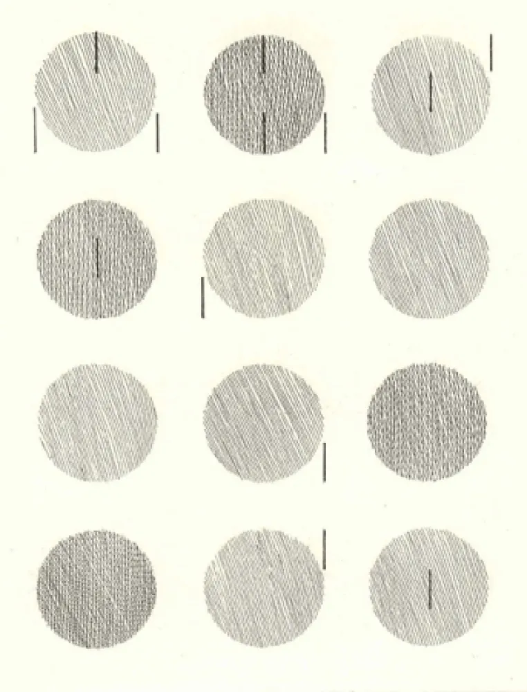 Libro Ilustrado Nangeroni - Sei poesie per un romanzo