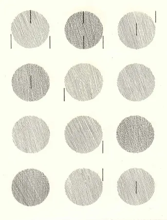 Libro Ilustrado Nangeroni - Sei poesie per un romanzo