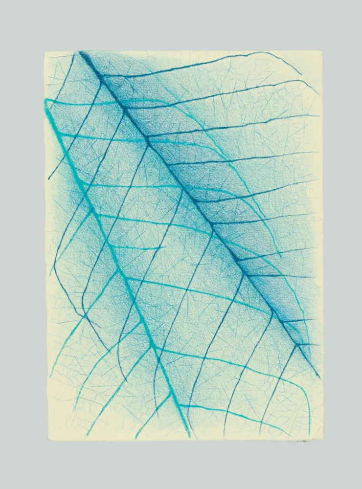 Sin Técnico Napoleone - Essenze, assenze