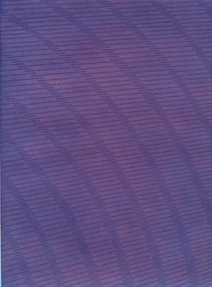 Libro Ilustrado Napoleone - Rimanenze