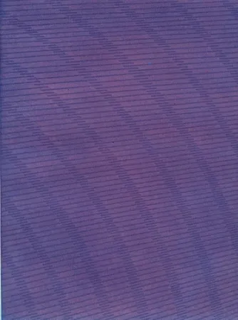 Libro Ilustrado Napoleone - Rimanenze