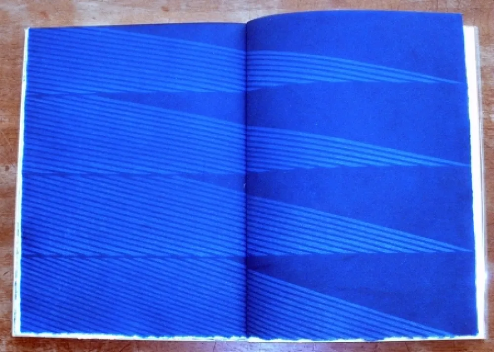 Libro Ilustrado Napoleone - Rimanenze