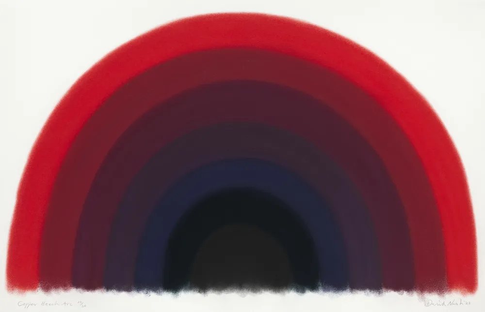 Pochoir Nash - Copper Beech Arc