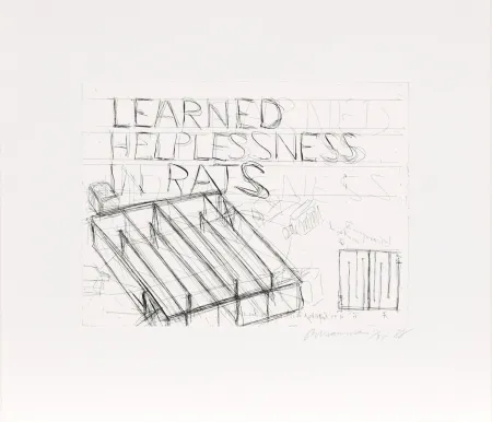Aguafuerte Nauman - Learned Helplessness from Rats