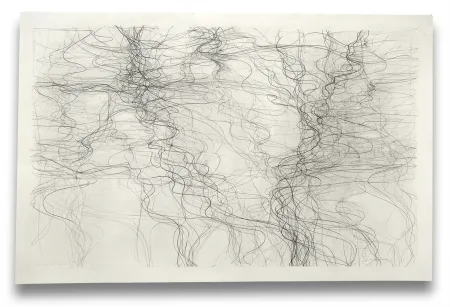 Sin Técnico Neill - Prospectus 1