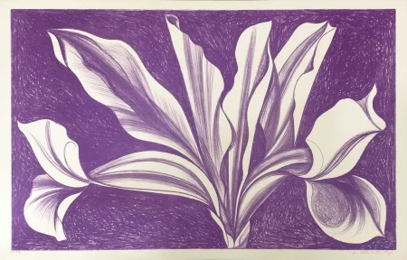 Relieve Nesbitt - IRIS