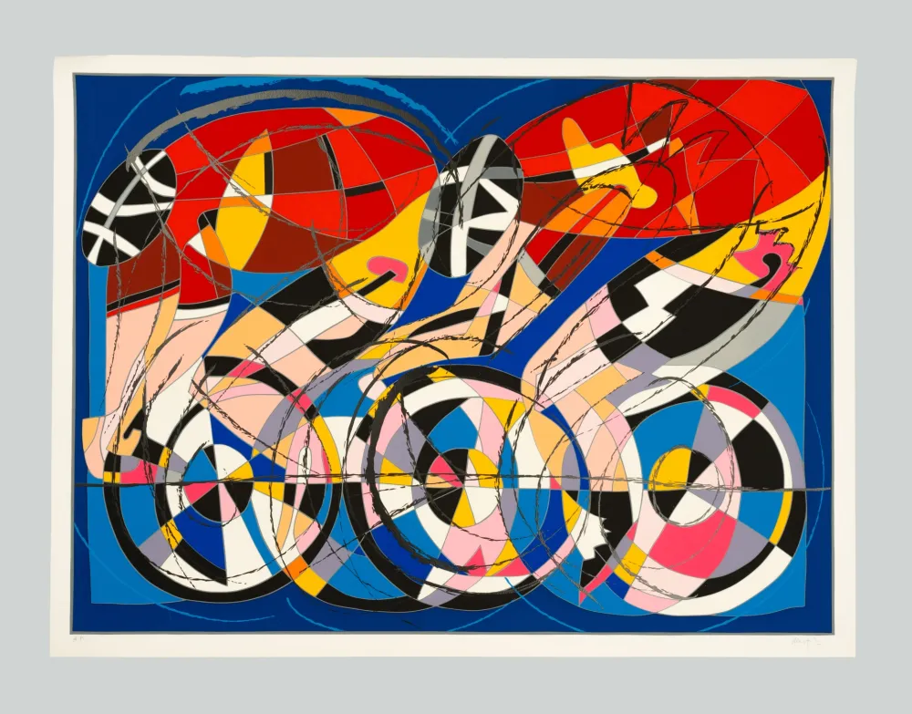 Serigrafía Nespolo - Biciclette