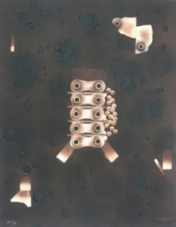 Grabado Nissen - Mariposa obsidiana 4