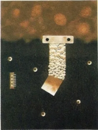 Grabado Nissen - Mariposa obsidiana 6