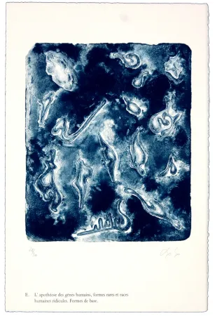 Litografía Nørgaard - E. L'apothéose des gènes humains, formes rares et races humaines ridicules. Forme de base.