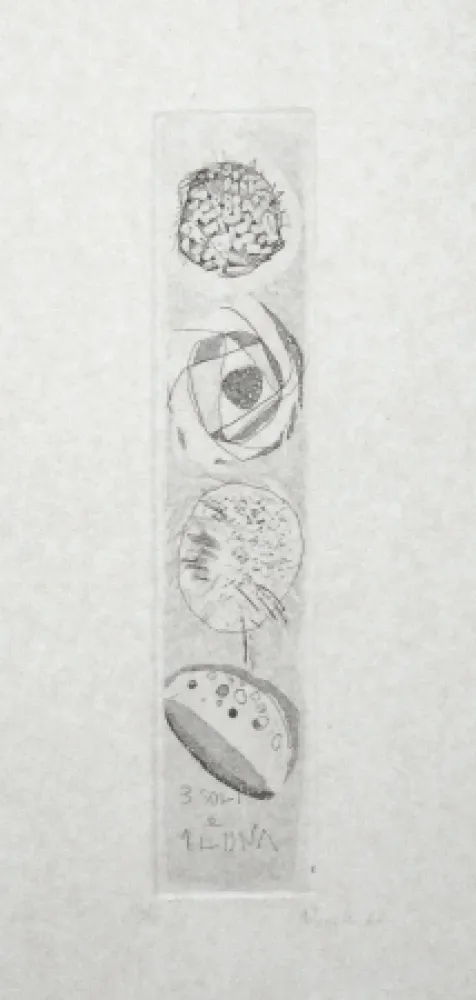 Aguafuerte Y Aguatinta Novelli - Tre soli e una luna