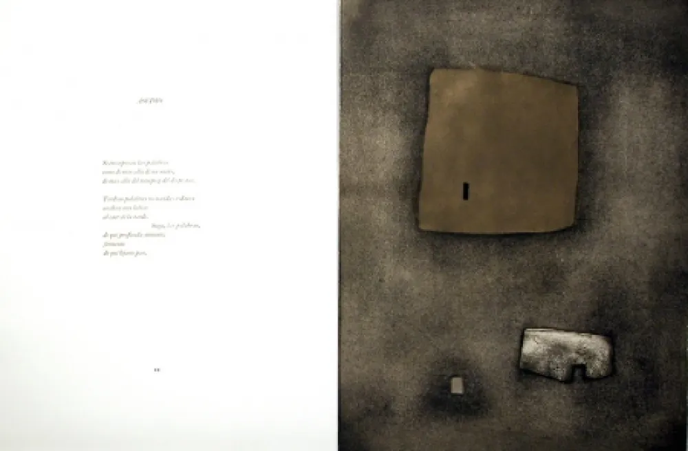 Libro Ilustrado Nóvoa - Alén